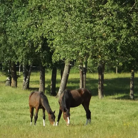 Agroturystyka Drweck -