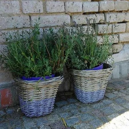 Farm stay Agroturystyka Drweck - *