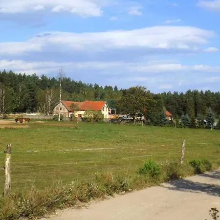 Фермерский дом Agroturystyka Drweck - Ольштынек